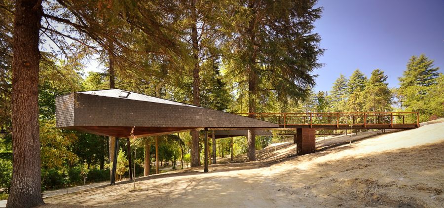 Cantilevered structure of the snake tree house in Pedras Salgadas