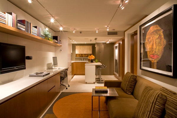 Stylish Basement Apartment Ideas