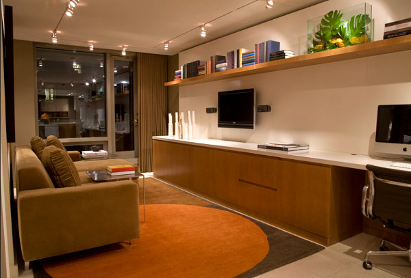 Stylish Basement Apartment Ideas