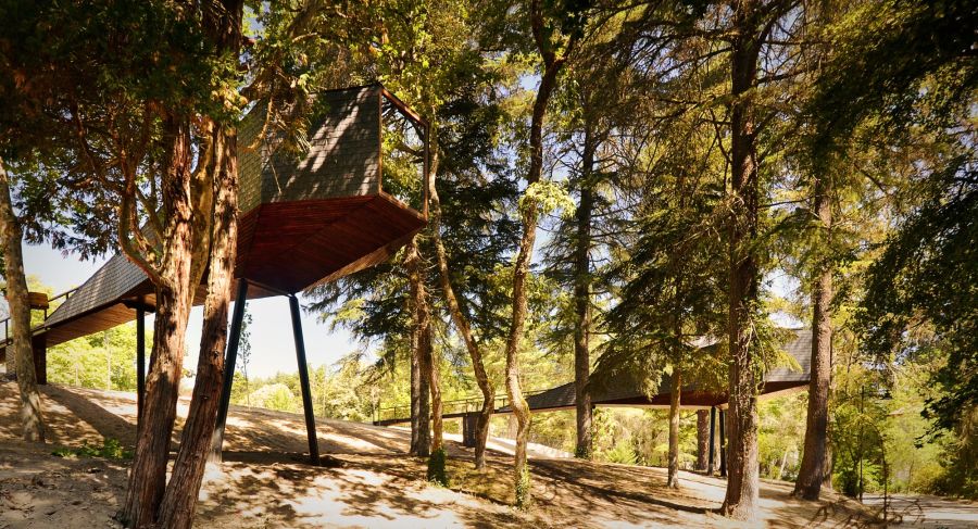 Eco-freindly tree houses with snake like design in Portugal