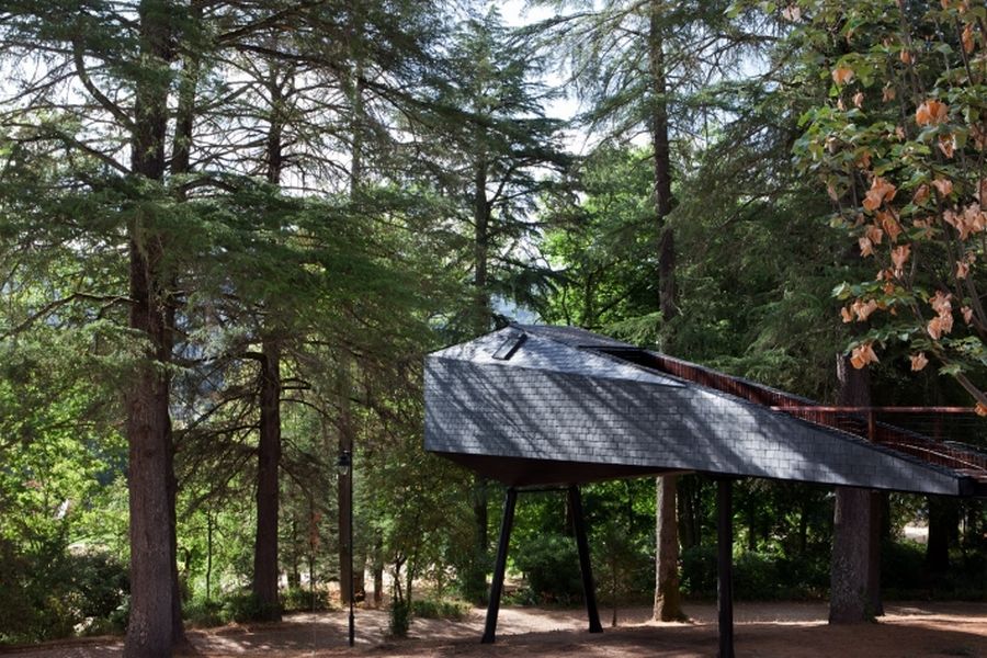 Elegant exterior of the snake tree house