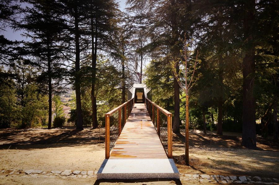 Elongated entrance leading up to the snake tree house