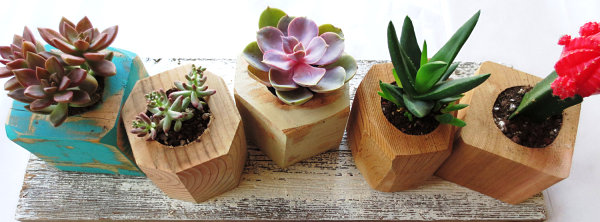 Faceted wooden gem planters