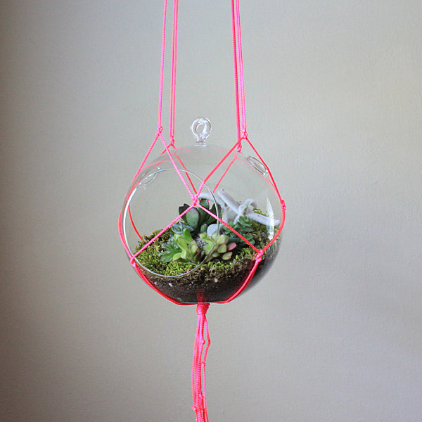 Macrame terrarium