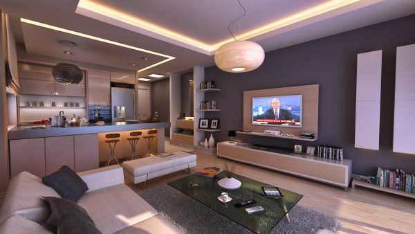 Open plan living space idea for a bachelor pad