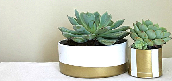 PVC pipe succulent planters