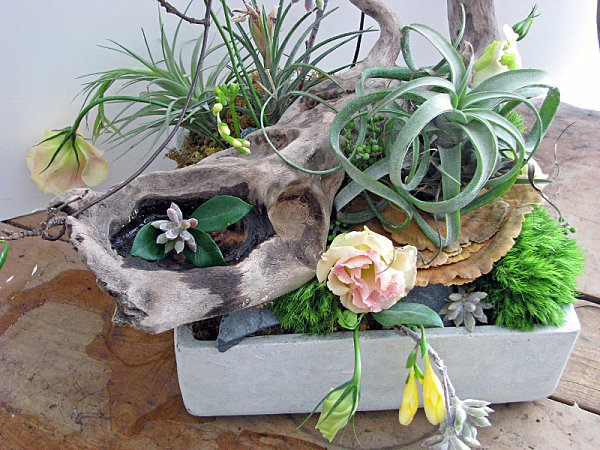 Creative Succulent Planter Ideas