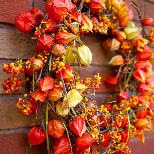 Thanksgiving wreath made from Chinese lantern plants