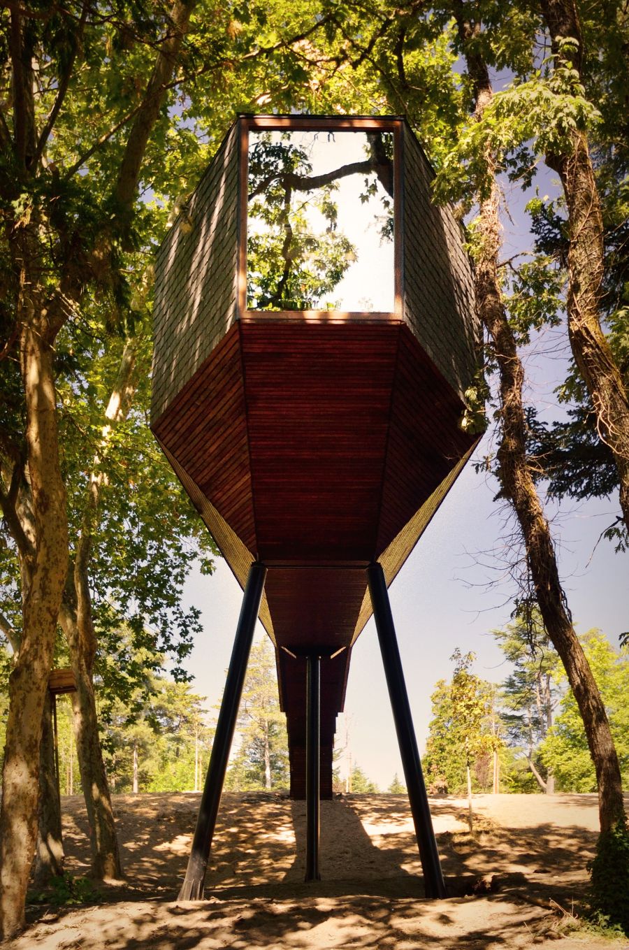 Tree house snakes between the tall trees in the park