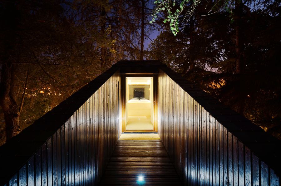 Treehouse walkway illuminated at night