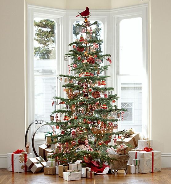 christmass tree 6