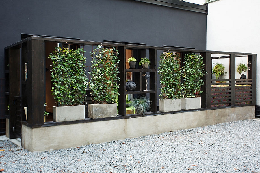 A wall of green in the private patio