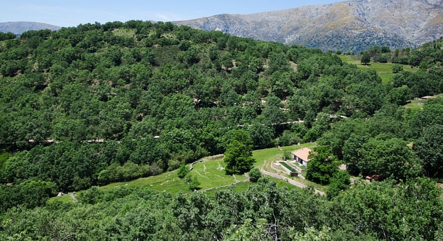 Aerial view of the countryside home