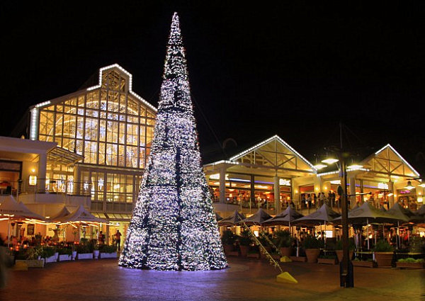 Cape Town waterfront Christmas tree