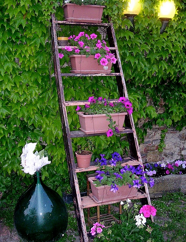 Dazzling ladder display in the garden with bright pink and blue flowers