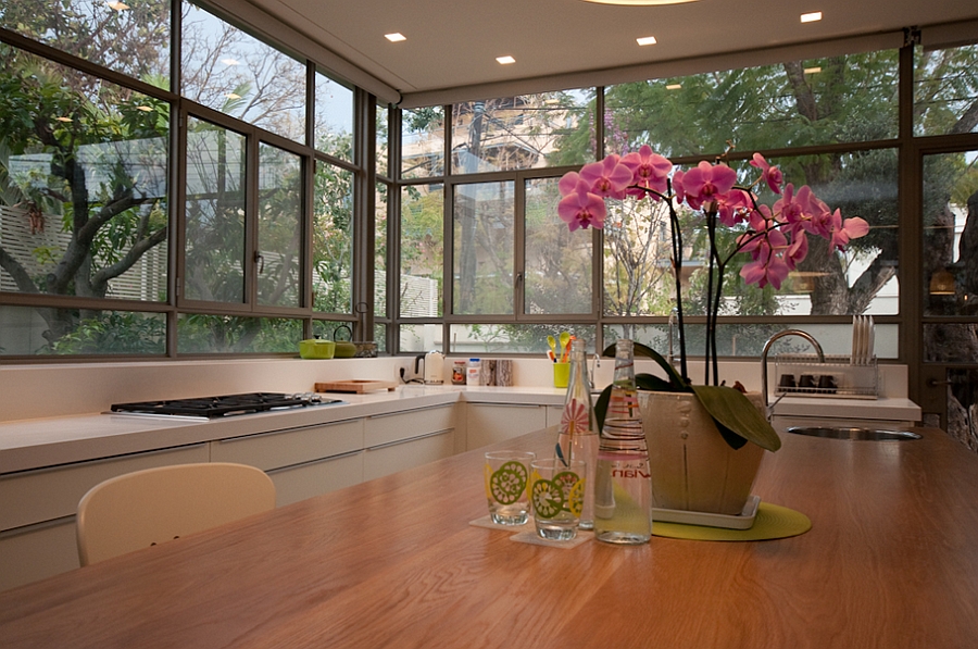 Glass walls of the kitchen