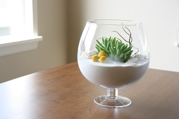 Indoor plant arrangement in a glass goblet