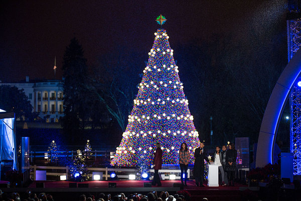 National Christmas tree in Washington, D.C.