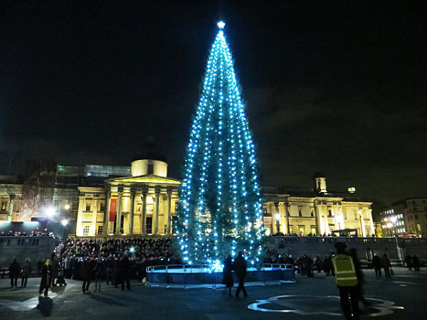 Trafalgar Square Christmas tree