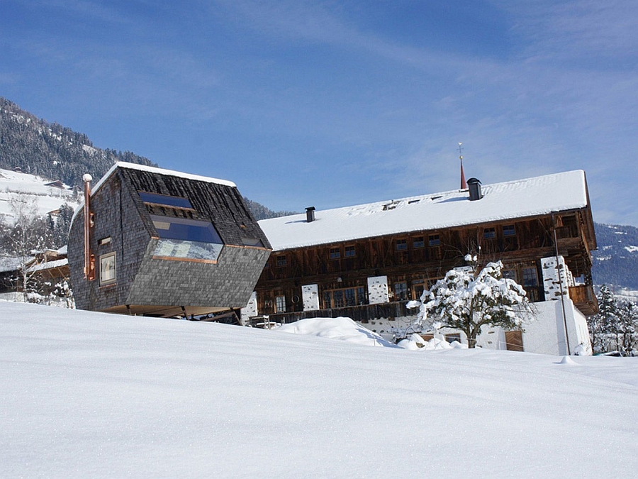 Ufogel in winter