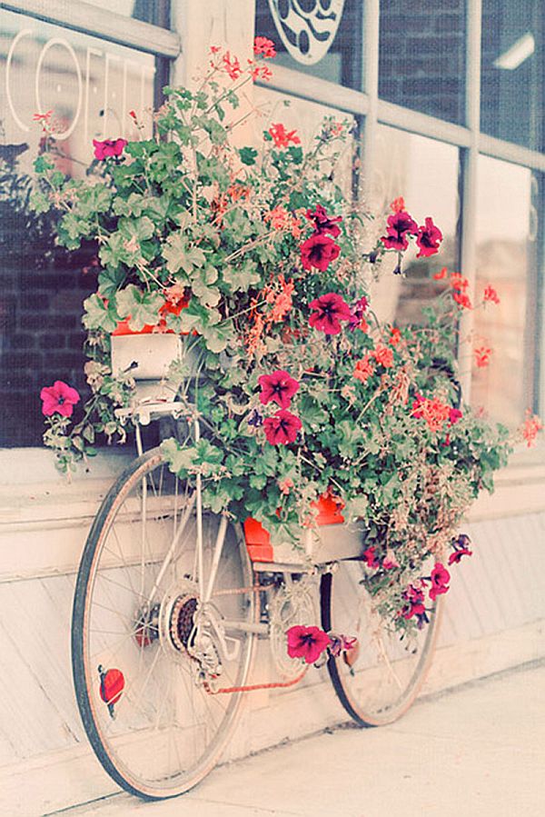 flower pots upcycled bicycle