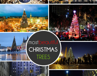 The 20 Most Beautiful Christmas Trees in the World