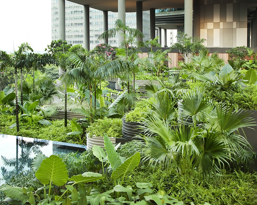 An oasis of green at the Parkroyal