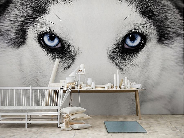 Bold wolf wallpaper in grey and white