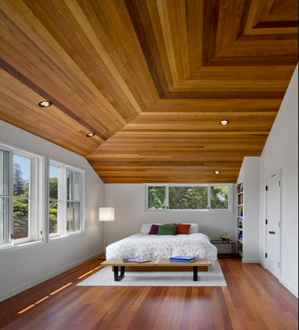 Eco Friendly Ceiling Designs For The Modern Home