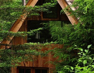 This Amazing Forest House Was Built For Just $11,000 With Locally Found Materials!