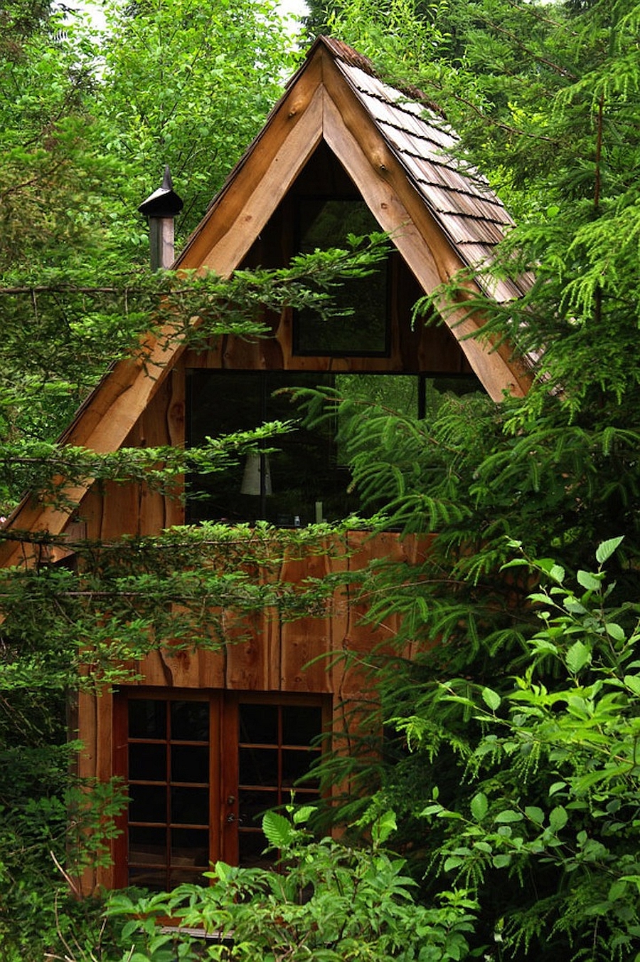 Cool forest house clad in wood