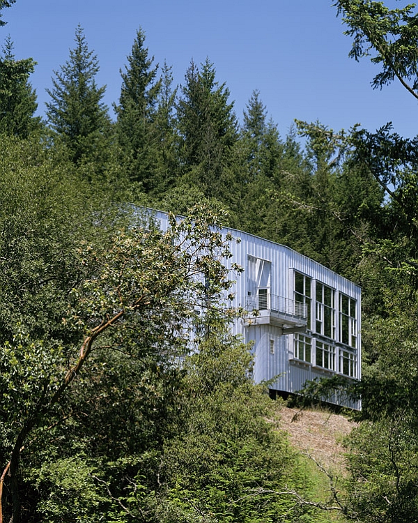 Elegant hillside home is tucked away in the canopy