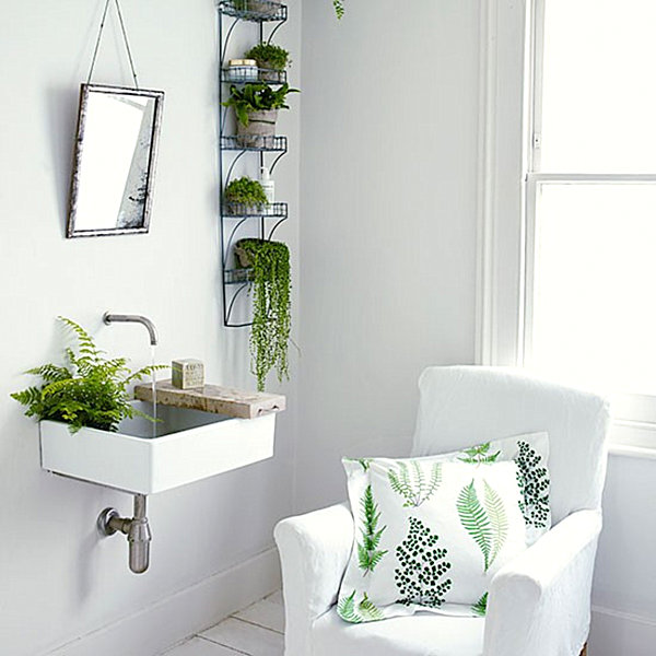 Green ferns in a white bathroom