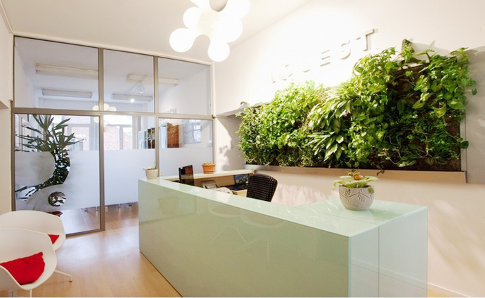 Green living wall at the office reception