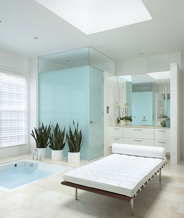 Greenery in a contemporary bathroom