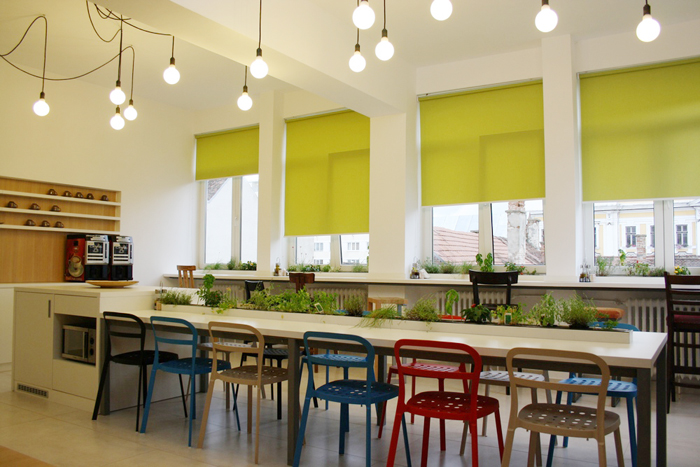 Large dining table with a miniature herb garden in the center