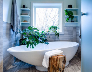 The Best Bathroom Plants For Your Interior