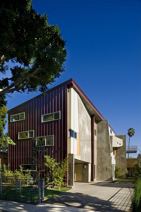 Residence-for-a-Briard- in LA