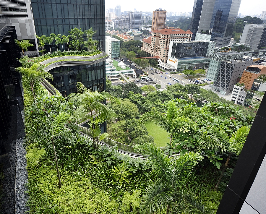 Rich green tropical plants on the terraced gardens of the PARKROYAL