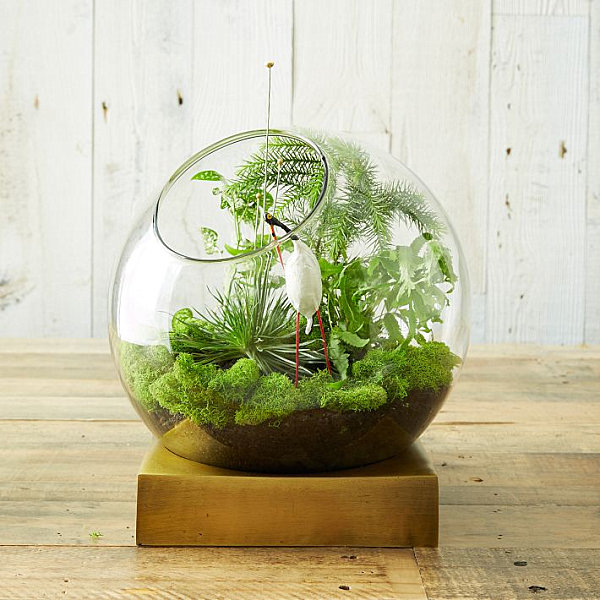 Terrarium with a brass base