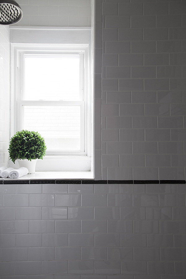 Topiary on a bathroom windowsill