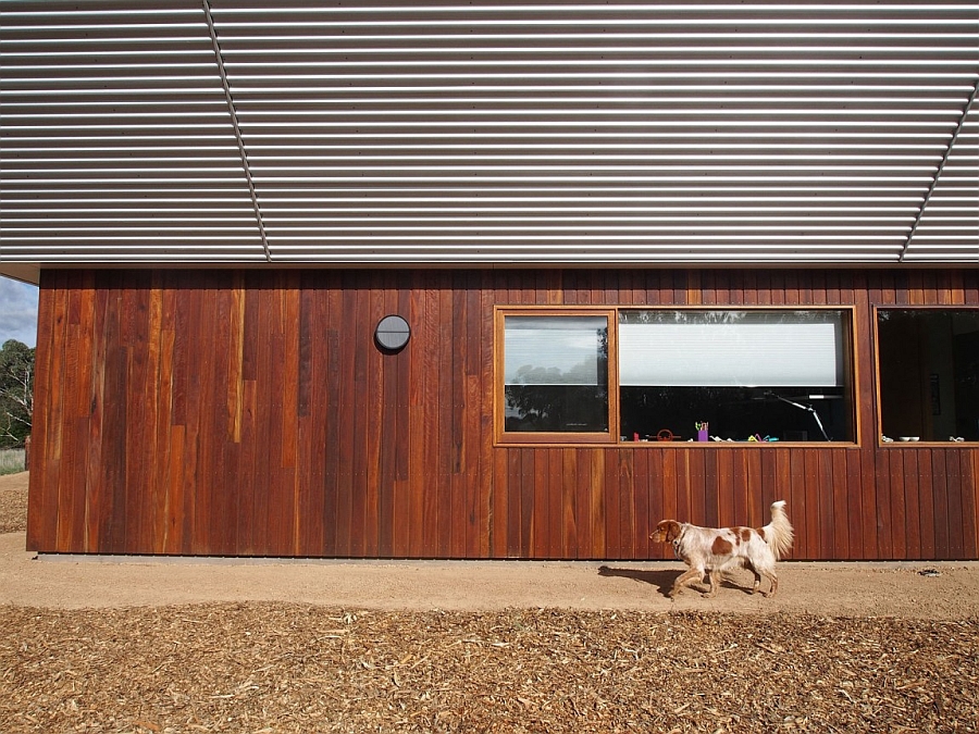 Windows usher in natural ventilation