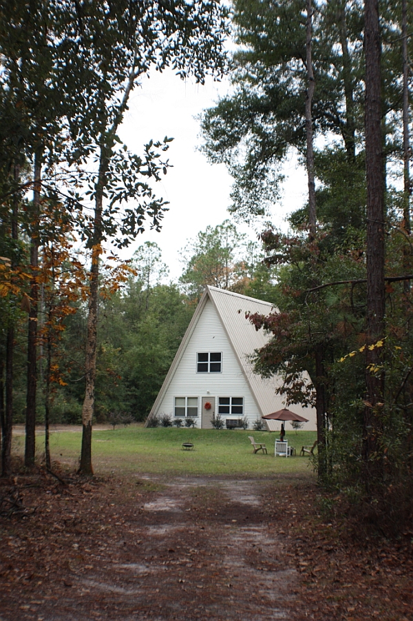 Woods eading to the captivating steel frame house