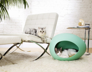 Modern Pet Furniture That Will Look Great In Your Home