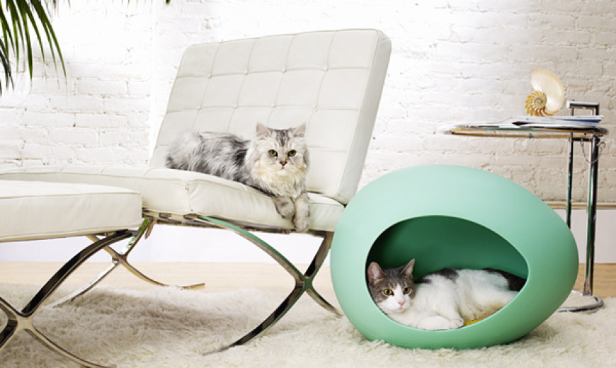 Modern Pet Furniture That Will Look Great In Your Home