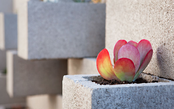 Cinderblock succulent planter