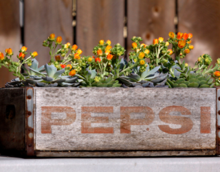 Upcycle Anything Into A Planter