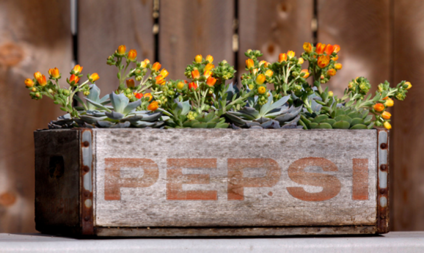 Upcycle Anything Into A Planter
