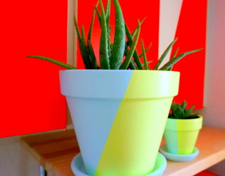 Create Your Own Two-Tone Painted Pots With This Easy DIY Project