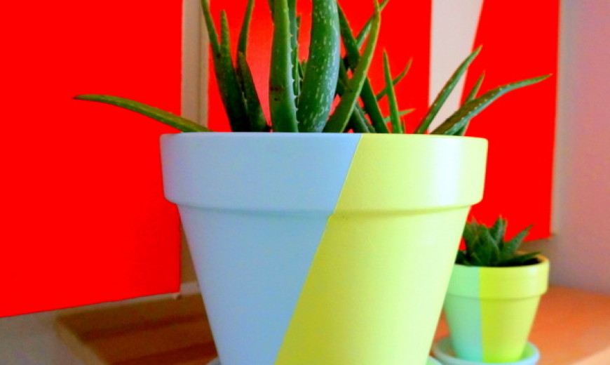 Create Your Own Two-Tone Painted Pots With This Easy DIY Project